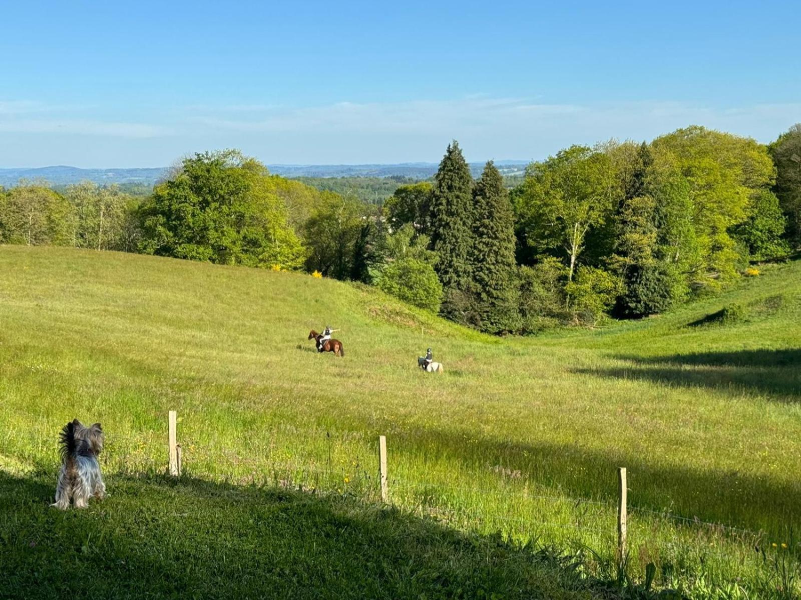 Domaine De Montmery Sa Piscine Son Jardin Ses Espaces Ambazac Exteriör bild