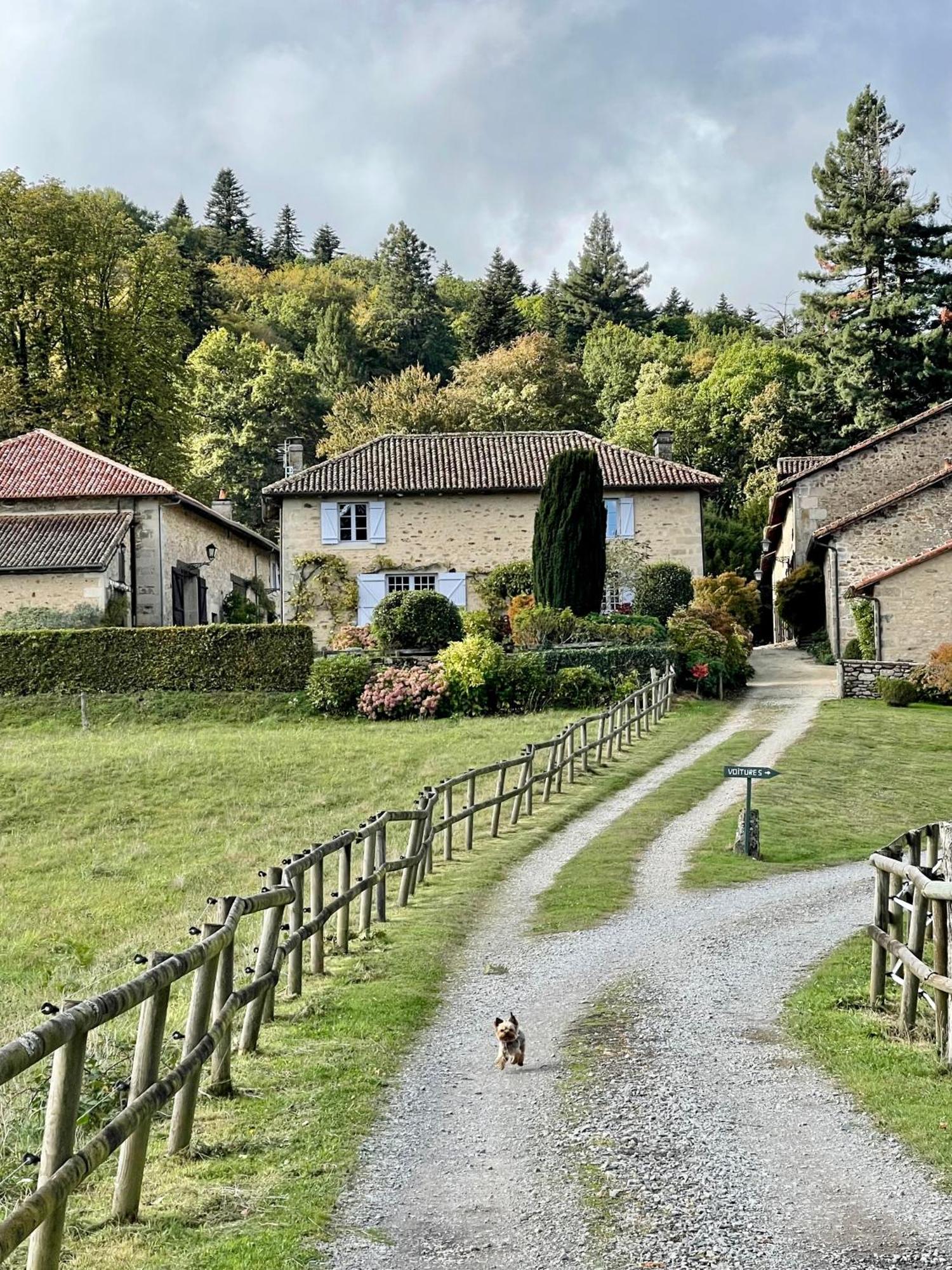 Domaine De Montmery Sa Piscine Son Jardin Ses Espaces Ambazac Exteriör bild