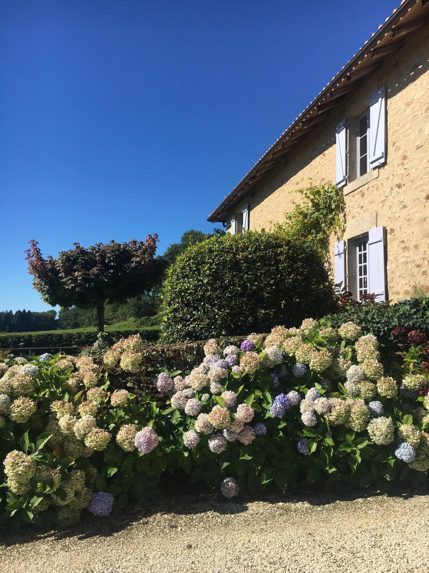 Domaine De Montmery Sa Piscine Son Jardin Ses Espaces Ambazac Exteriör bild